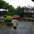 蓬萊山區下雨