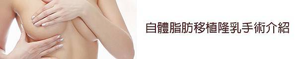 004自體脂肪隆乳豐胸手術豐頰推薦淚溝隆鼻.jpg 004自體脂肪隆乳豐胸手術豐頰推薦淚溝隆鼻.jpg
