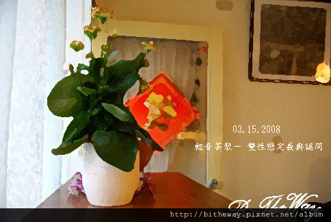 雙性戀的定義與認同@台北 080315