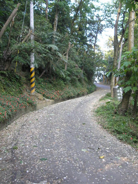 三峽-鳶山-P5140340.JPG