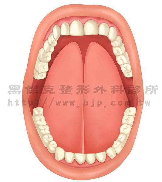 舌頭-分舌.jpg 舌頭-分舌.jpg