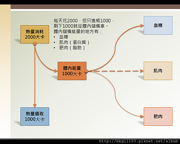 熱量消耗體內能量圖