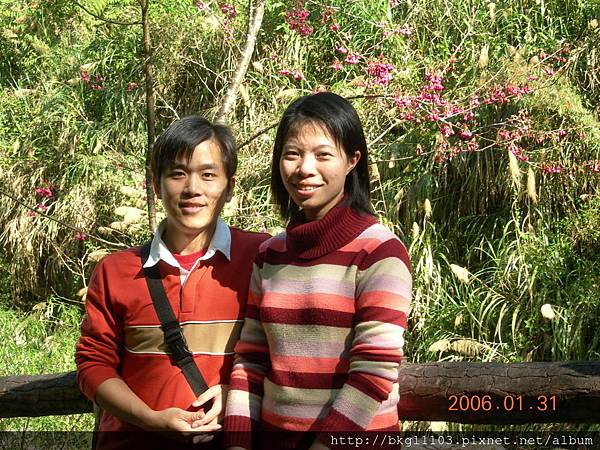 姐2006 姐2006