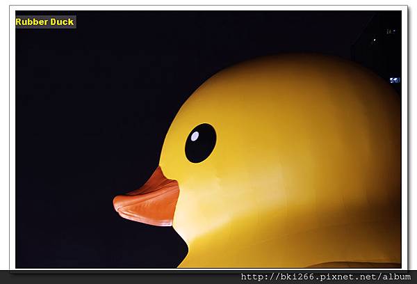 2013 Rubber Duck 黃色小鴨在高雄