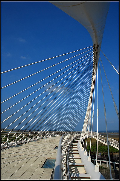 DSC_0238.jpg DSC_0238.jpg