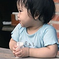 山行玫瑰