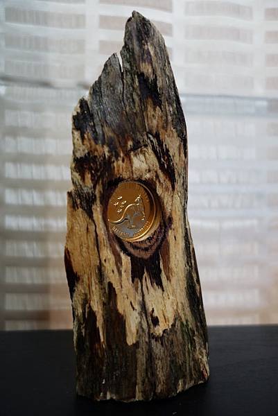 DSC03975 (Medium).JPG