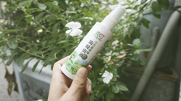 _DSC6767.JPG _DSC6767.JPG