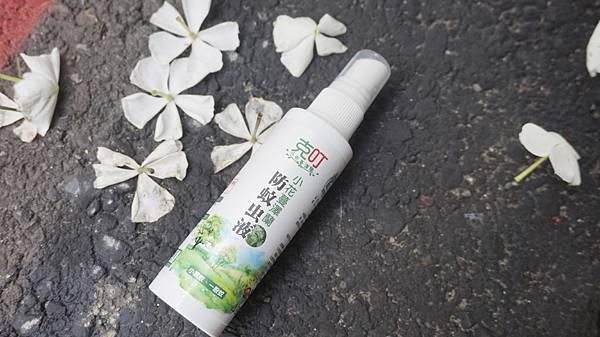 _DSC6768.JPG _DSC6768.JPG