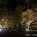 128.jpg