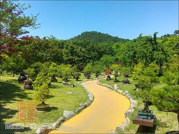 【東南旅遊】跟團實況：韓國．釜山、慶州雙城5日遊