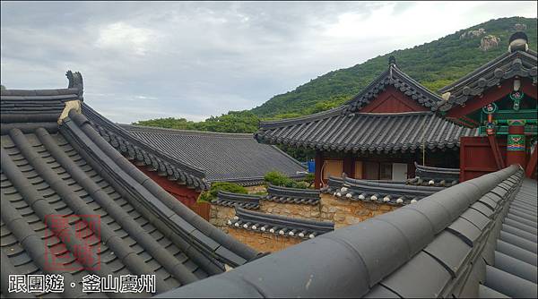 【東南旅遊】跟團實況：韓國．釜山、慶州雙城5日遊