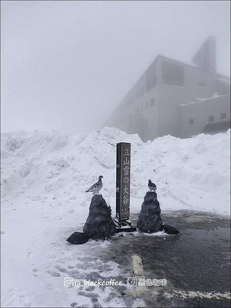 《遊》【富山．立山】2023 立山黑部開山穿越大雪谷．失敗篇