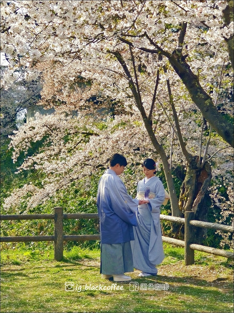 《賞櫻》【青森．弘前】弘前城、弘前公園．賞櫻名勝百選名所