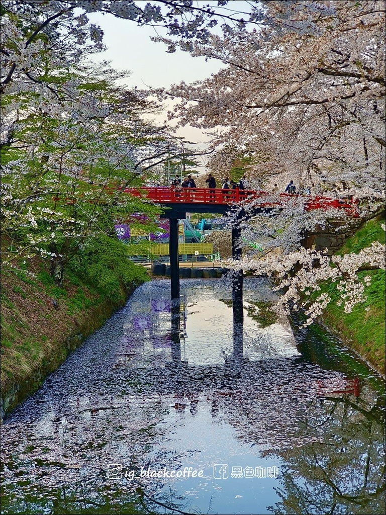 《賞櫻》【青森．弘前】弘前城、弘前公園．賞櫻名勝百選名所