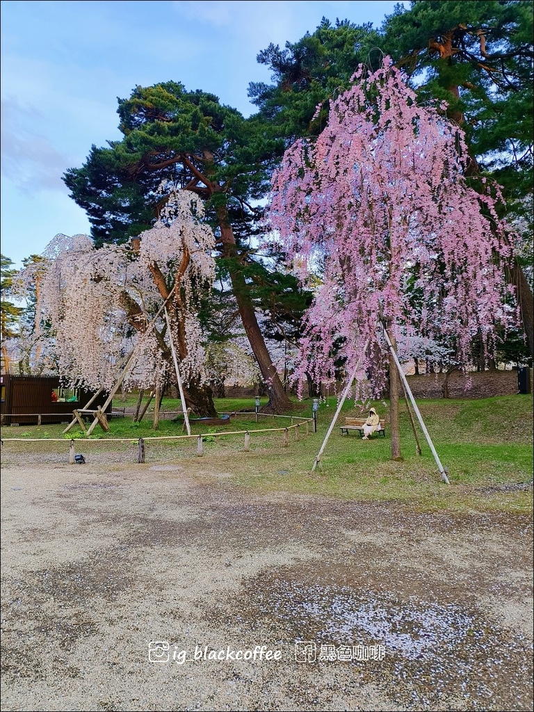 《賞櫻》【青森．弘前】弘前城、弘前公園．賞櫻名勝百選名所