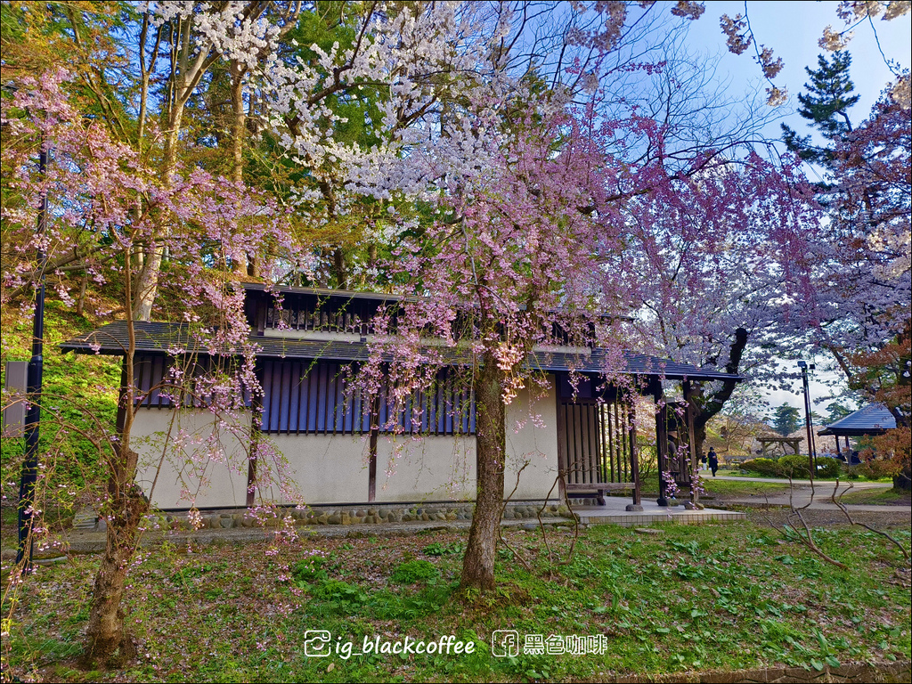 《賞櫻》【青森．弘前】弘前城、弘前公園．賞櫻名勝百選名所