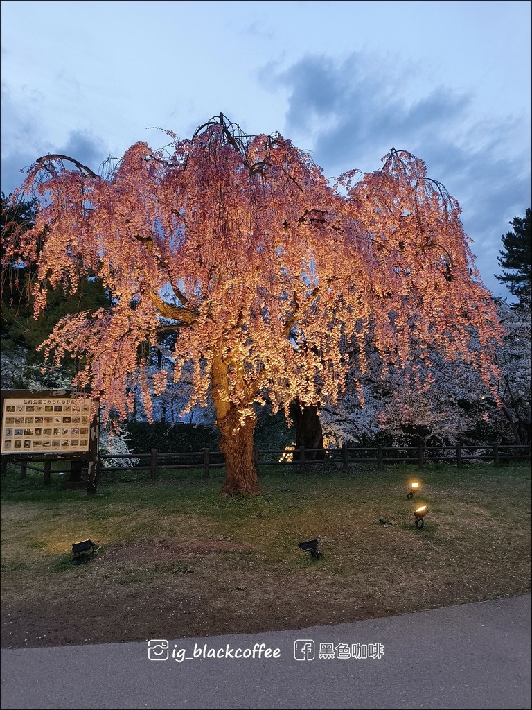 《賞櫻》【青森．弘前】弘前城、弘前公園．賞櫻名勝百選名所