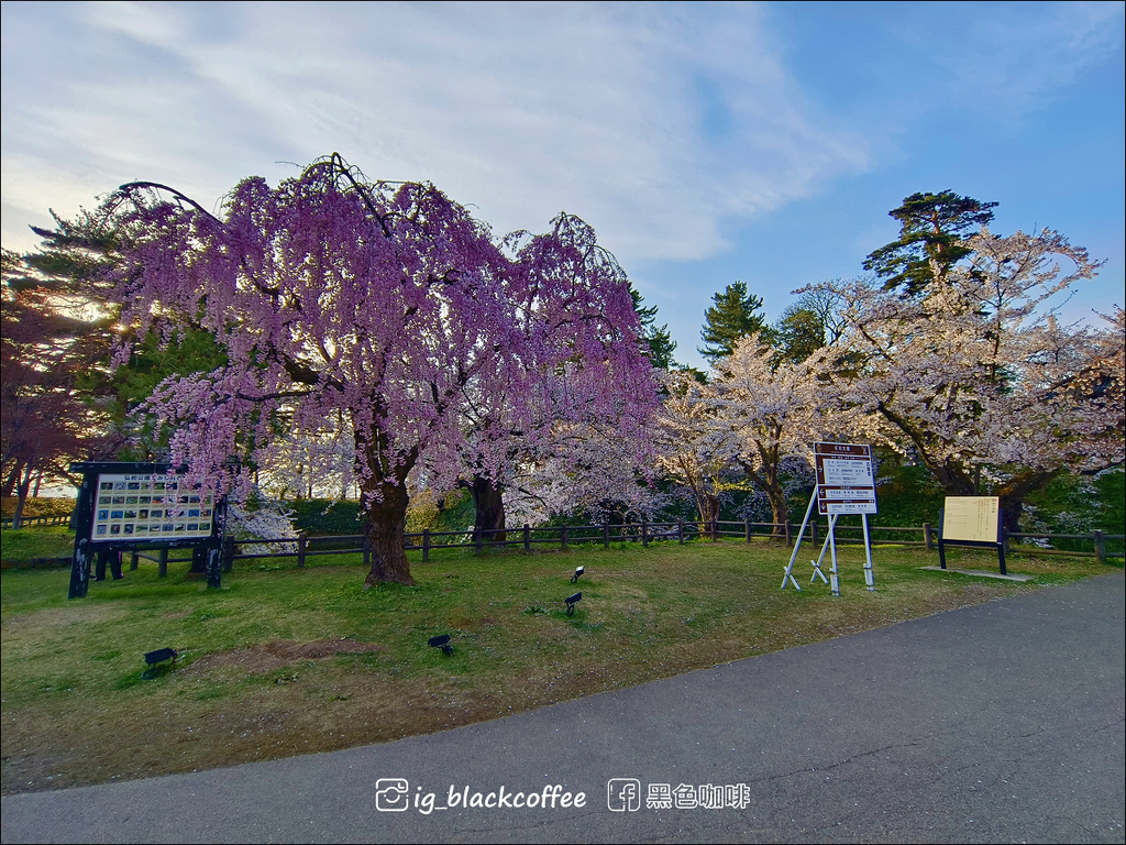 《賞櫻》【青森．弘前】弘前城、弘前公園．賞櫻名勝百選名所