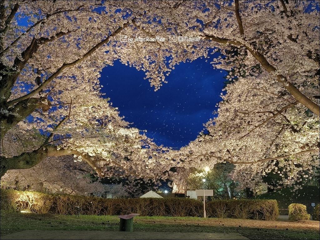 《賞櫻》【青森．弘前】弘前城、弘前公園．賞櫻名勝百選名所