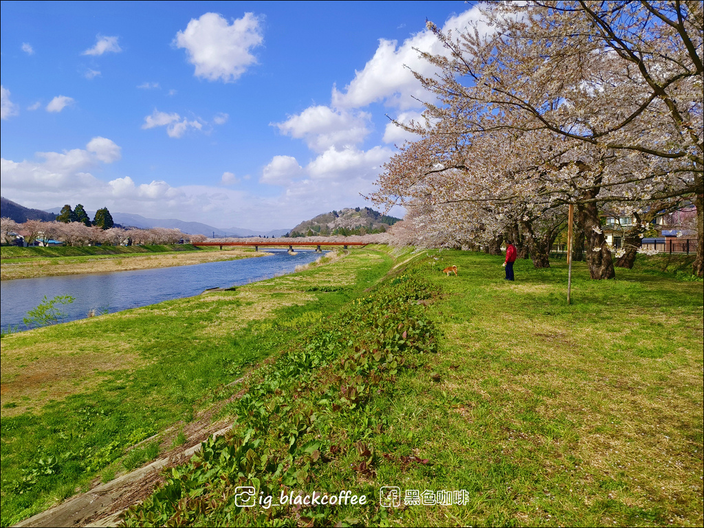 《賞櫻》【秋田.角館】檜木內川堤/武家屋敷通.賞櫻名勝百選名 《賞櫻》【秋田.角館】檜木內川堤/武家屋敷通.賞櫻名勝百選名