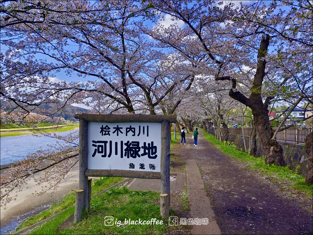 《賞櫻》【秋田.角館】檜木內川堤/武家屋敷通.賞櫻名勝百選名 《賞櫻》【秋田.角館】檜木內川堤/武家屋敷通.賞櫻名勝百選名