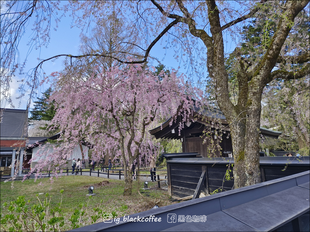 《賞櫻》【秋田.角館】檜木內川堤/武家屋敷通.賞櫻名勝百選名 《賞櫻》【秋田.角館】檜木內川堤/武家屋敷通.賞櫻名勝百選名