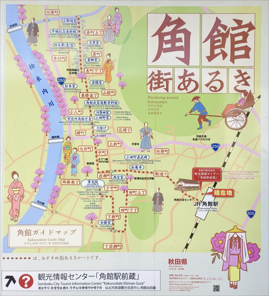 《賞櫻》【秋田.角館】檜木內川堤/武家屋敷通.賞櫻名勝百選名 《賞櫻》【秋田.角館】檜木內川堤/武家屋敷通.賞櫻名勝百選名