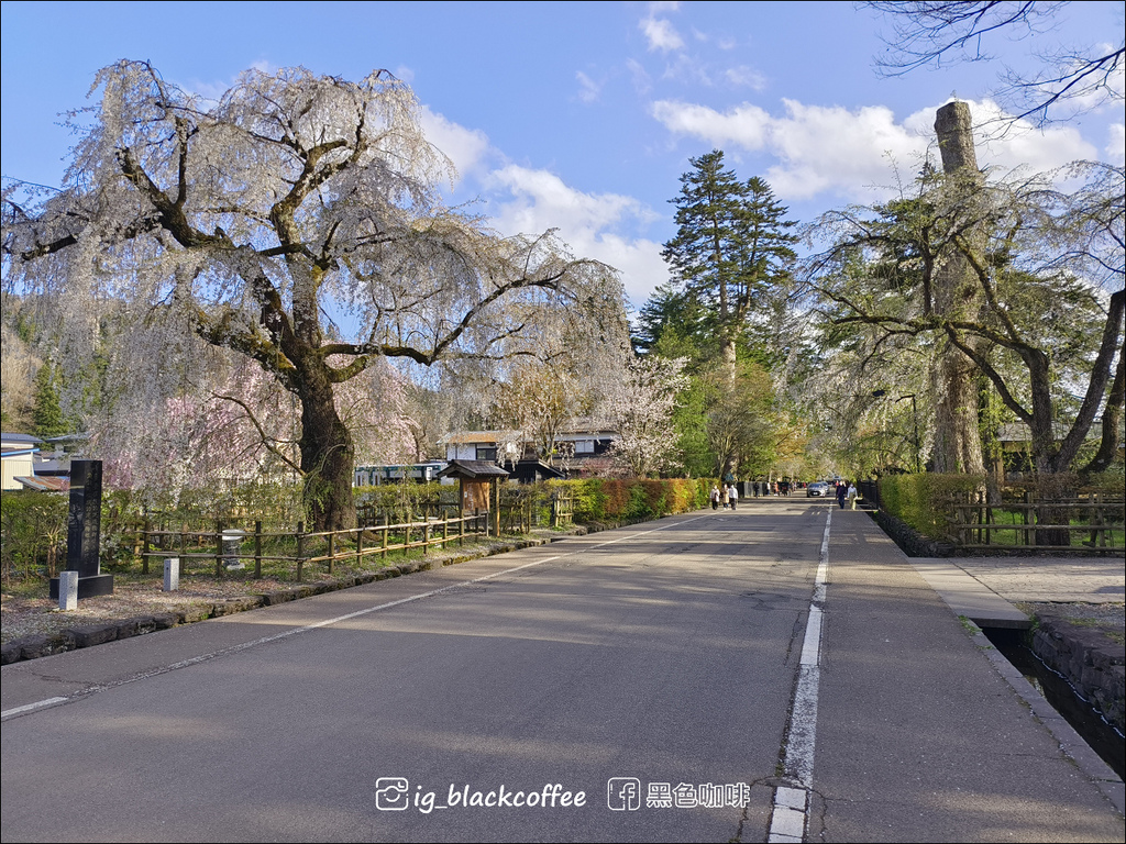 《賞櫻》【秋田.角館】檜木內川堤/武家屋敷通.賞櫻名勝百選名 《賞櫻》【秋田.角館】檜木內川堤/武家屋敷通.賞櫻名勝百選名