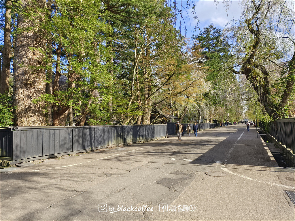 《賞櫻》【秋田.角館】檜木內川堤/武家屋敷通.賞櫻名勝百選名 《賞櫻》【秋田.角館】檜木內川堤/武家屋敷通.賞櫻名勝百選名