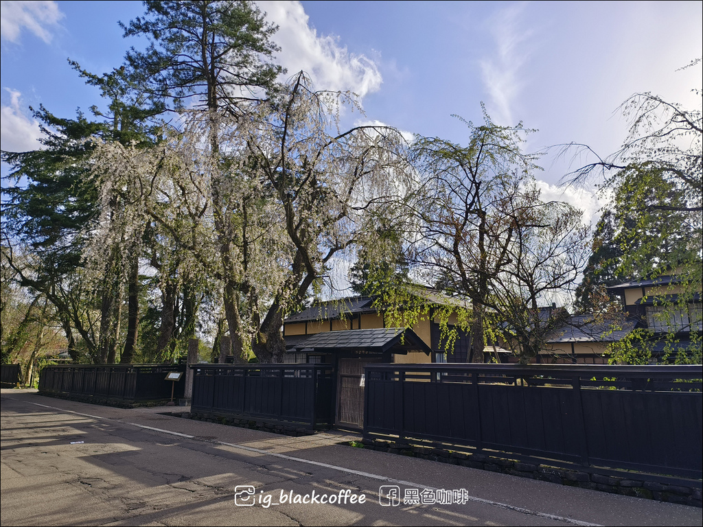 《賞櫻》【秋田.角館】檜木內川堤/武家屋敷通.賞櫻名勝百選名 《賞櫻》【秋田.角館】檜木內川堤/武家屋敷通.賞櫻名勝百選名