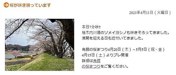 《賞櫻》【秋田.角館】檜木內川堤/武家屋敷通.賞櫻名勝百選名 《賞櫻》【秋田.角館】檜木內川堤/武家屋敷通.賞櫻名勝百選名