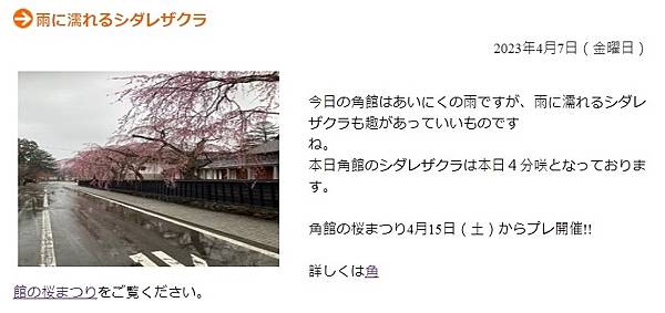 《賞櫻》【秋田.角館】檜木內川堤/武家屋敷通.賞櫻名勝百選名 《賞櫻》【秋田.角館】檜木內川堤/武家屋敷通.賞櫻名勝百選名