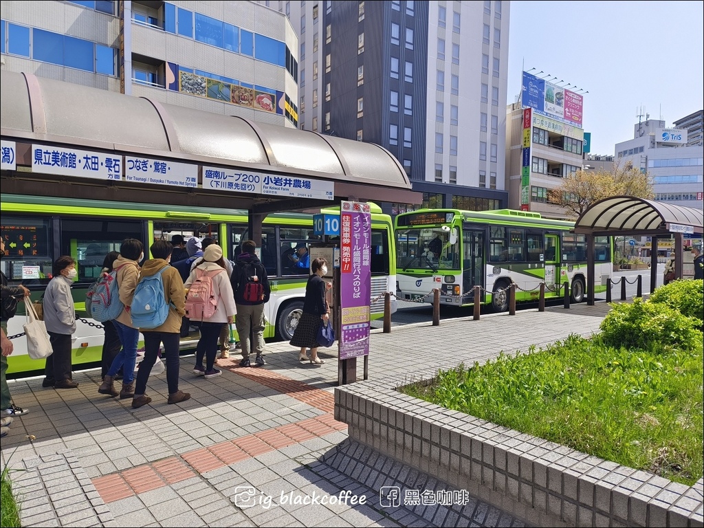《賞櫻》【岩手.雫石】小岩井農場的一本櫻 (一本桜)/小岩井 《賞櫻》【岩手.雫石】小岩井農場的一本櫻 (一本桜)/小岩井