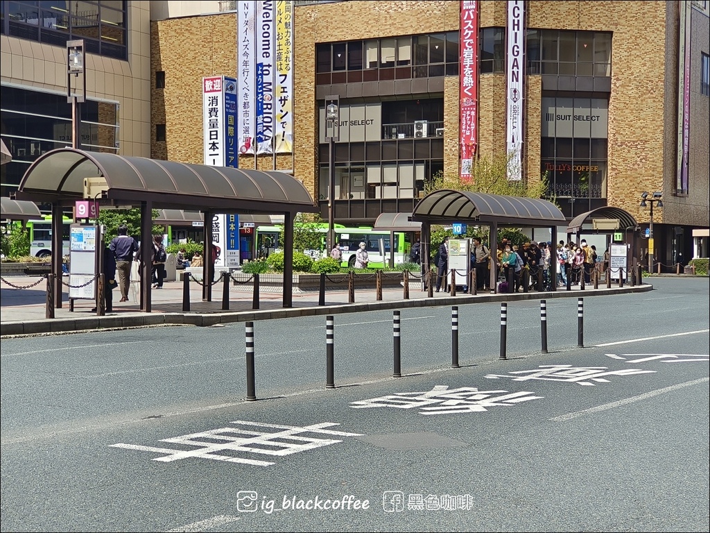 《賞櫻》【岩手.雫石】小岩井農場的一本櫻 (一本桜)/小岩井 《賞櫻》【岩手.雫石】小岩井農場的一本櫻 (一本桜)/小岩井