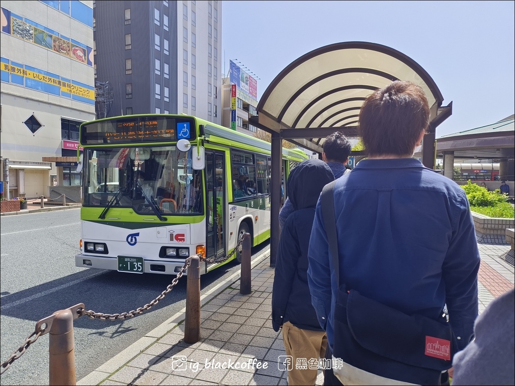 《賞櫻》【岩手.雫石】小岩井農場的一本櫻 (一本桜)/小岩井 《賞櫻》【岩手.雫石】小岩井農場的一本櫻 (一本桜)/小岩井