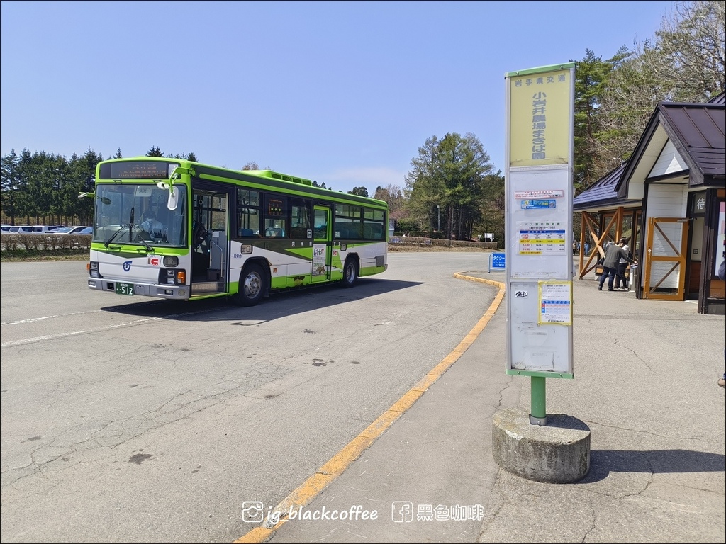 《賞櫻》【岩手.雫石】小岩井農場的一本櫻 (一本桜)/小岩井 《賞櫻》【岩手.雫石】小岩井農場的一本櫻 (一本桜)/小岩井