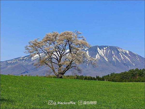 【行程幫你排好了】使用JR Pass 全日本鐵路通票（7日）
