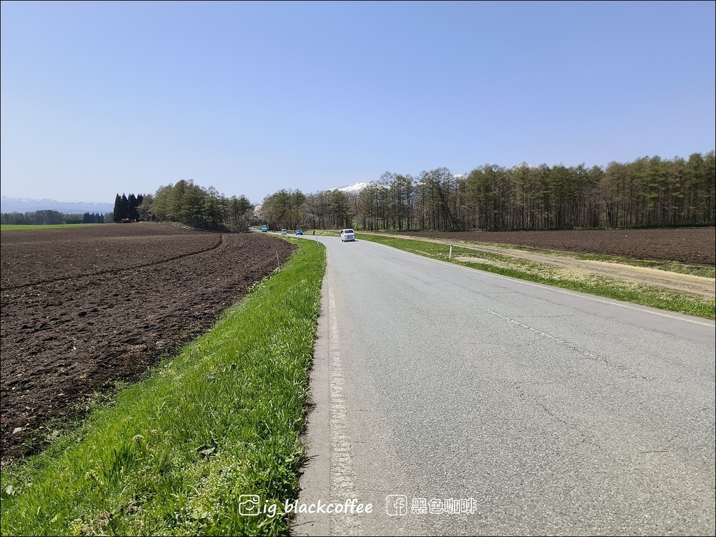 《賞櫻》【岩手.雫石】小岩井農場的一本櫻 (一本桜)/小岩井 《賞櫻》【岩手.雫石】小岩井農場的一本櫻 (一本桜)/小岩井