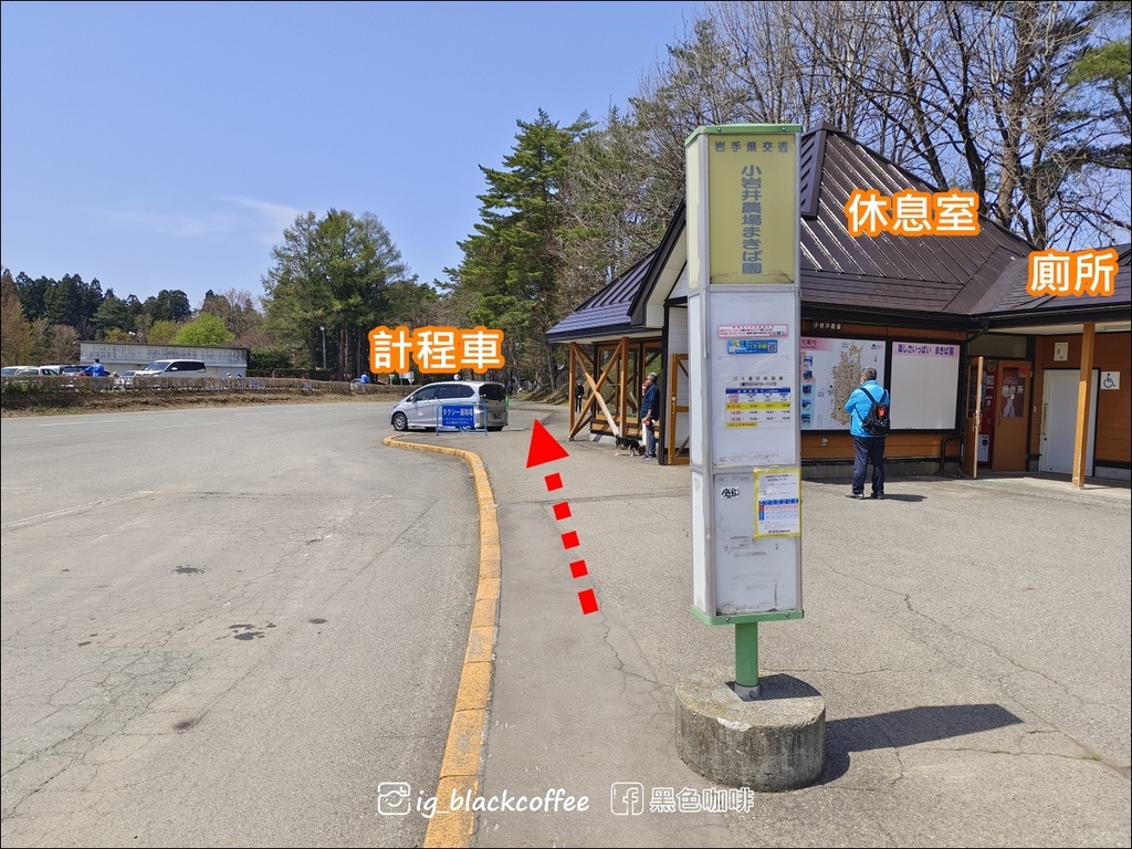 《賞櫻》【岩手.雫石】小岩井農場的一本櫻 (一本桜)/小岩井 《賞櫻》【岩手.雫石】小岩井農場的一本櫻 (一本桜)/小岩井