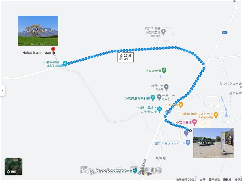 《賞櫻》【岩手.雫石】小岩井農場的一本櫻 (一本桜)/小岩井 《賞櫻》【岩手.雫石】小岩井農場的一本櫻 (一本桜)/小岩井