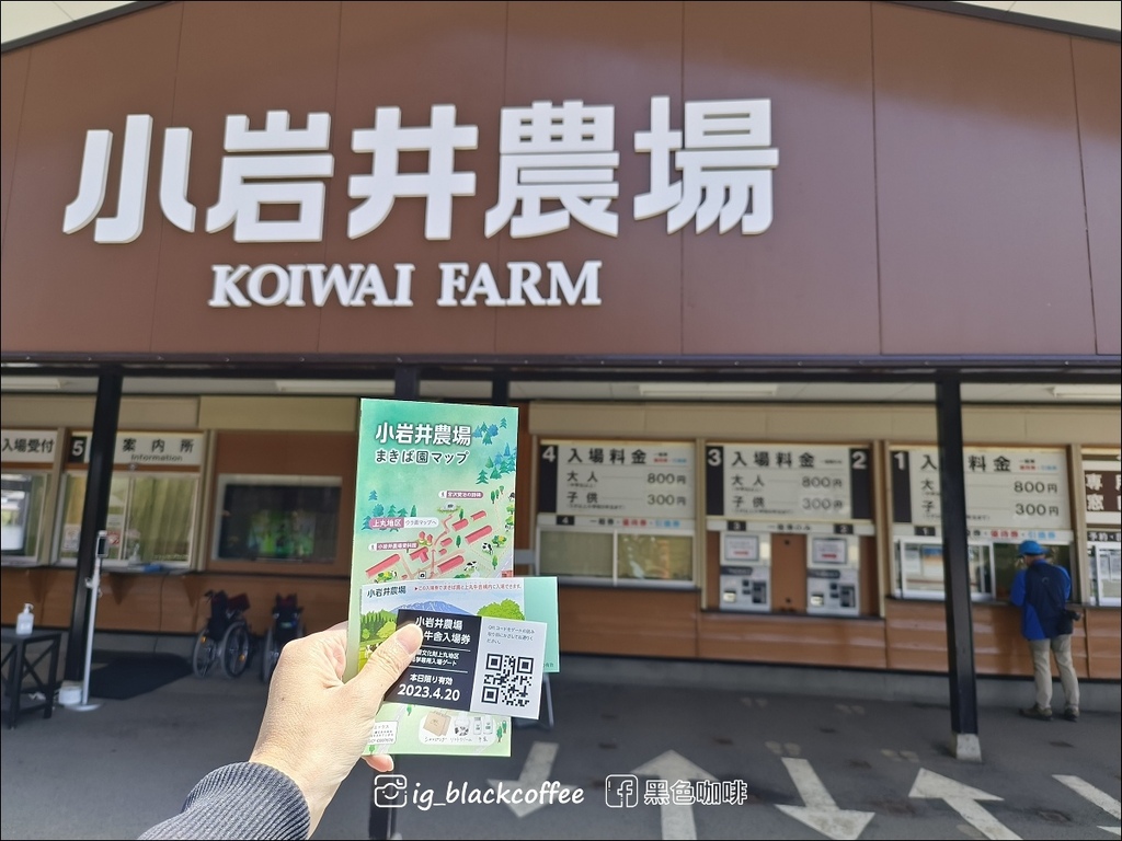 《賞櫻》【岩手.雫石】小岩井農場的一本櫻 (一本桜)/小岩井 《賞櫻》【岩手.雫石】小岩井農場的一本櫻 (一本桜)/小岩井