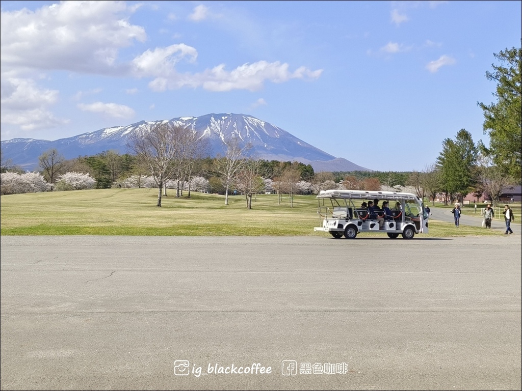 《賞櫻》【岩手.雫石】小岩井農場的一本櫻 (一本桜)/小岩井 《賞櫻》【岩手.雫石】小岩井農場的一本櫻 (一本桜)/小岩井