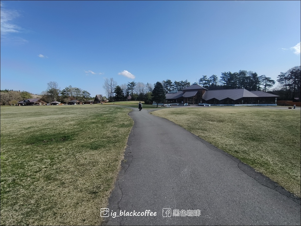 《賞櫻》【岩手.雫石】小岩井農場的一本櫻 (一本桜)/小岩井 《賞櫻》【岩手.雫石】小岩井農場的一本櫻 (一本桜)/小岩井