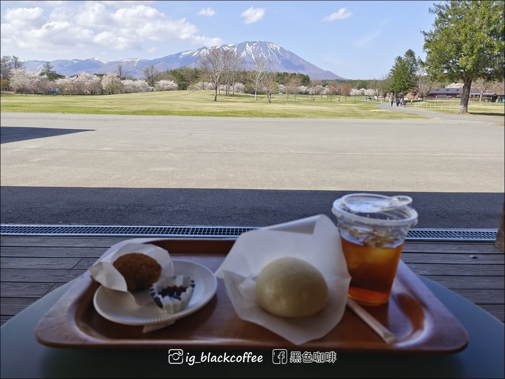 《賞櫻》【岩手.雫石】小岩井農場的一本櫻 (一本桜)/小岩井 《賞櫻》【岩手.雫石】小岩井農場的一本櫻 (一本桜)/小岩井