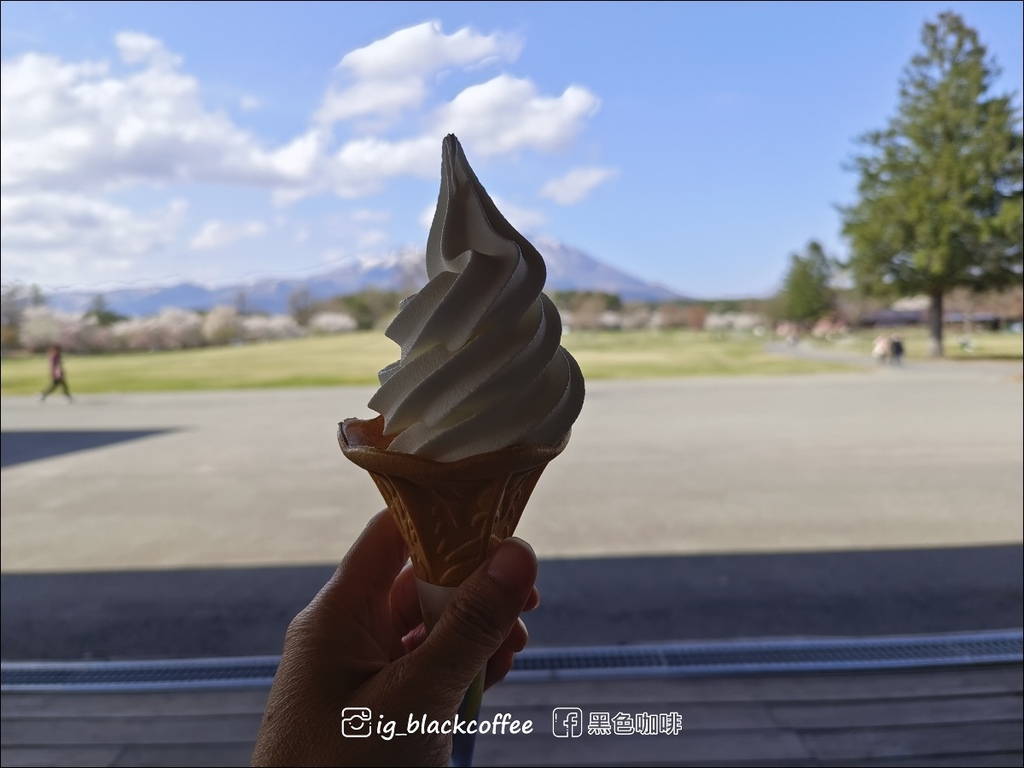 《賞櫻》【岩手.雫石】小岩井農場的一本櫻 (一本桜)/小岩井 《賞櫻》【岩手.雫石】小岩井農場的一本櫻 (一本桜)/小岩井