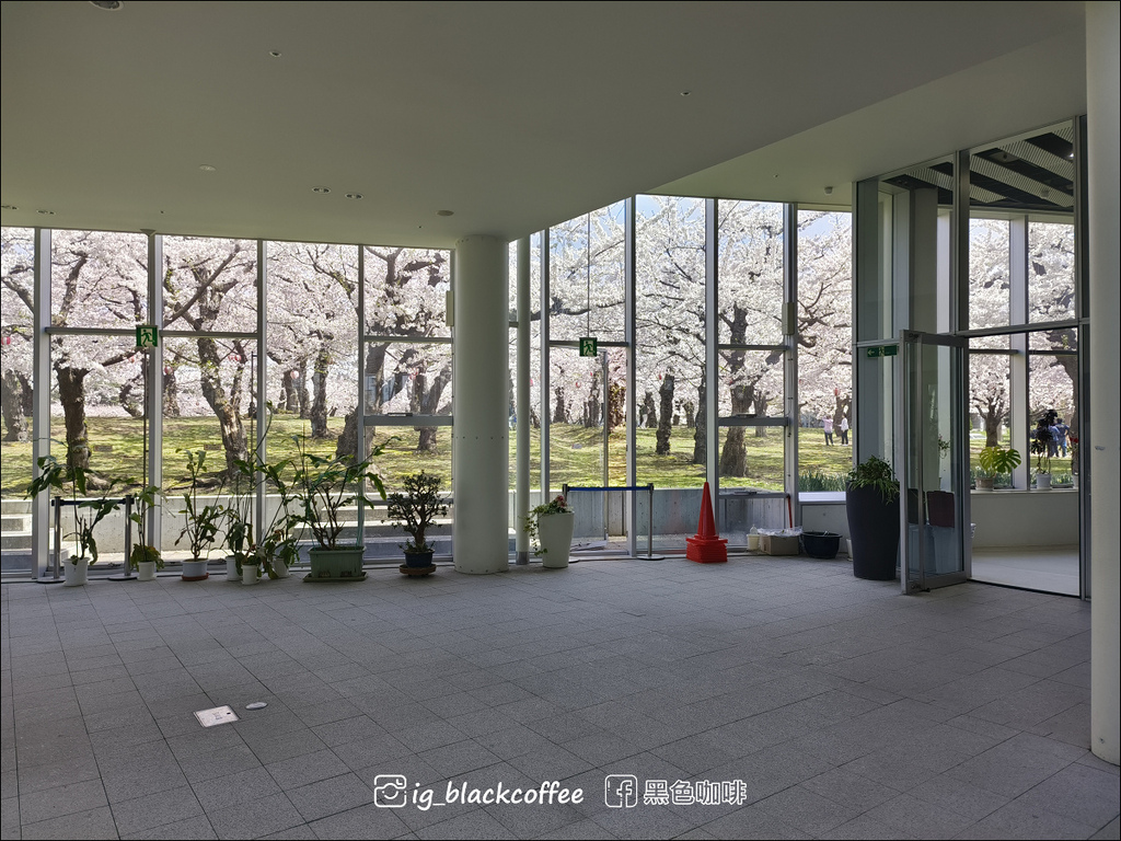 《賞櫻》【北海道.函館】五稜郭公園.賞櫻名勝百選名所|六花亭 《賞櫻》【北海道.函館】五稜郭公園.賞櫻名勝百選名所|六花亭