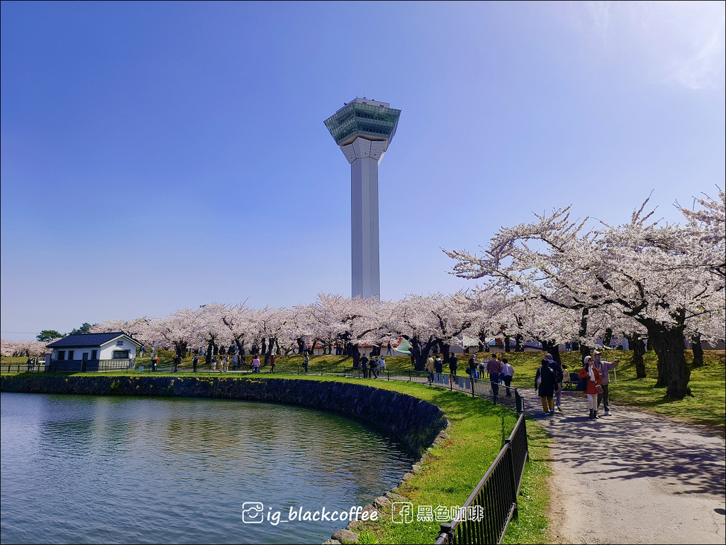 《賞櫻》【北海道.函館】五稜郭公園.賞櫻名勝百選名所|六花亭 《賞櫻》【北海道.函館】五稜郭公園.賞櫻名勝百選名所|六花亭