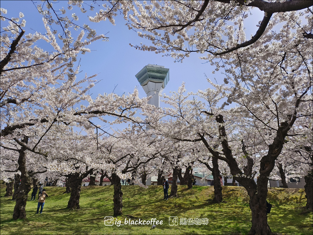 《賞櫻》【北海道.函館】五稜郭公園.賞櫻名勝百選名所|六花亭 《賞櫻》【北海道.函館】五稜郭公園.賞櫻名勝百選名所|六花亭