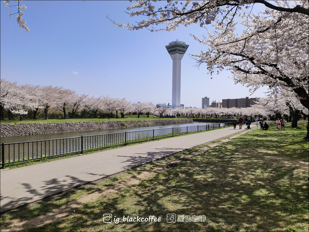 《賞櫻》【北海道.函館】五稜郭公園.賞櫻名勝百選名所|六花亭 《賞櫻》【北海道.函館】五稜郭公園.賞櫻名勝百選名所|六花亭